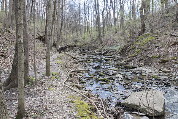 Nature trails near Highland Cemetery offer great outdoor option for Ft. Mitchell residents