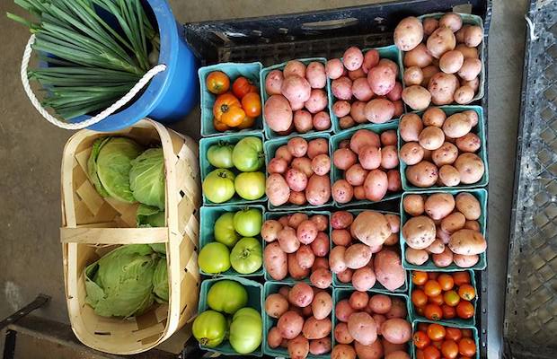 Produce at Awesome Place farm in Alexandria