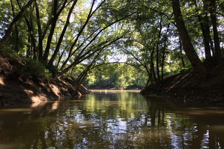 The Licking is a 303-mile tributary and habitat of biodiversity.