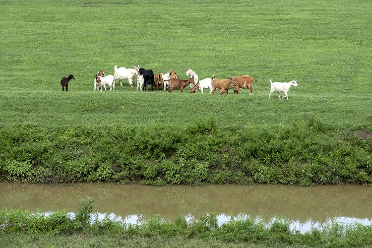 Neltner's Farm has been in the family for more than a century.