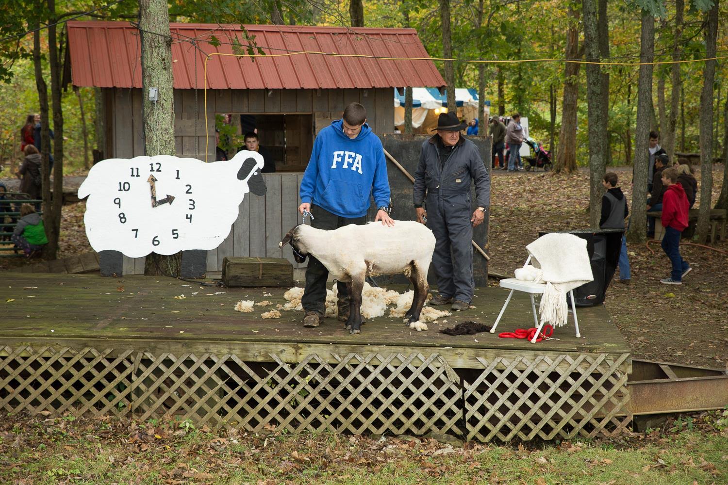 Pendleton County has a long tradition of wool and sheep shearing.