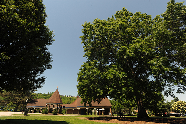 Covington's plans for Goebel Park include adding native plants and managing storm water.